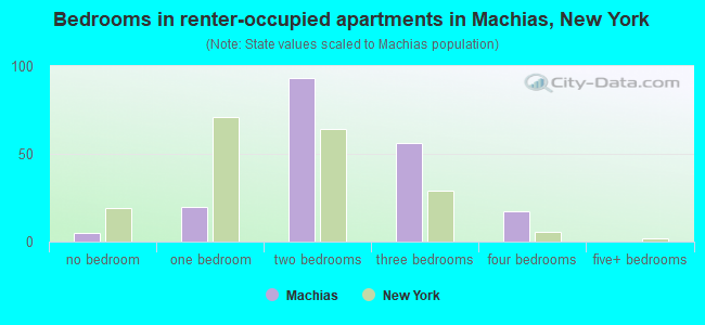 Bedrooms in renter-occupied apartments in Machias, New York