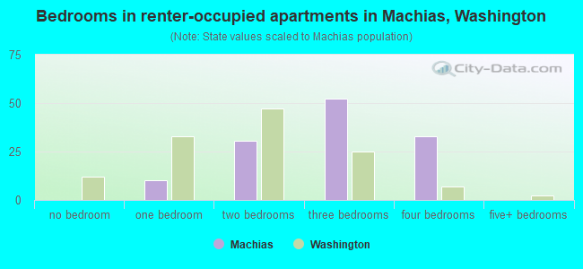 Bedrooms in renter-occupied apartments in Machias, Washington