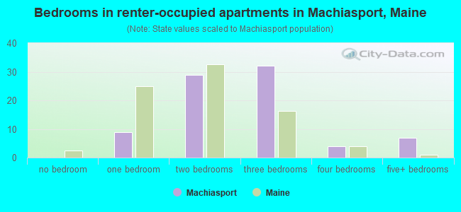 Bedrooms in renter-occupied apartments in Machiasport, Maine