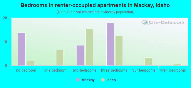 Bedrooms in renter-occupied apartments in Mackay, Idaho