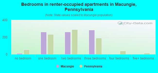 Bedrooms in renter-occupied apartments in Macungie, Pennsylvania