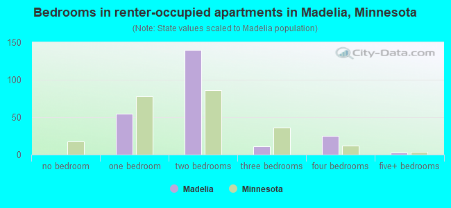 Bedrooms in renter-occupied apartments in Madelia, Minnesota