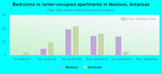 Bedrooms in renter-occupied apartments in Madison, Arkansas