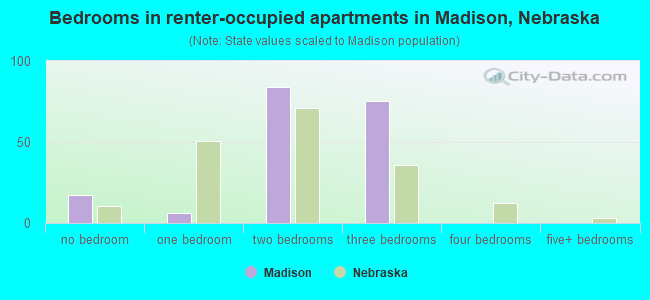 Bedrooms in renter-occupied apartments in Madison, Nebraska