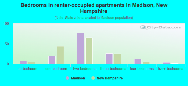 Bedrooms in renter-occupied apartments in Madison, New Hampshire