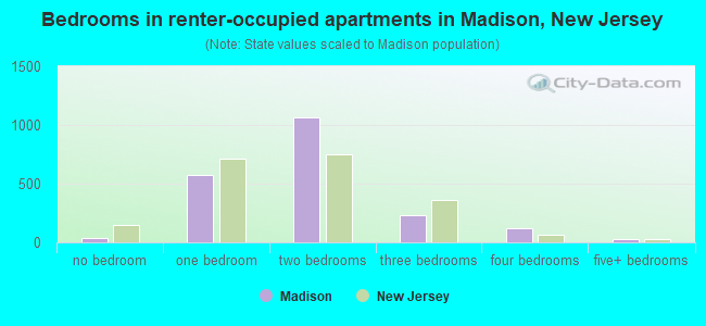 Bedrooms in renter-occupied apartments in Madison, New Jersey