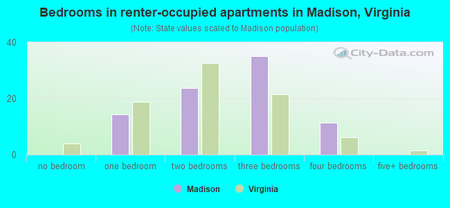 Bedrooms in renter-occupied apartments in Madison, Virginia