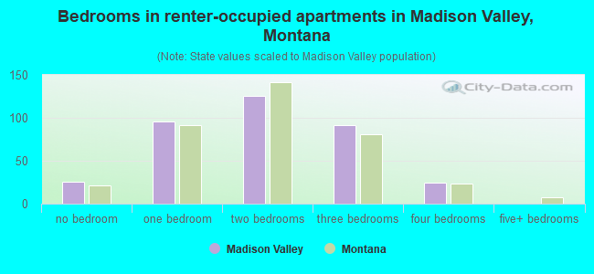 Bedrooms in renter-occupied apartments in Madison Valley, Montana