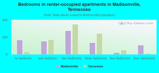 Bedrooms in renter-occupied apartments in Madisonville, Tennessee