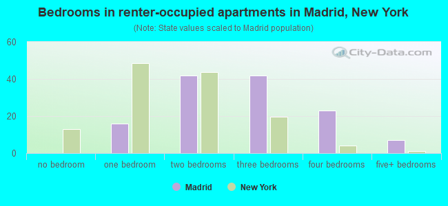 Bedrooms in renter-occupied apartments in Madrid, New York