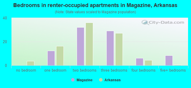 Bedrooms in renter-occupied apartments in Magazine, Arkansas