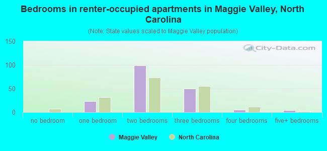 Bedrooms in renter-occupied apartments in Maggie Valley, North Carolina