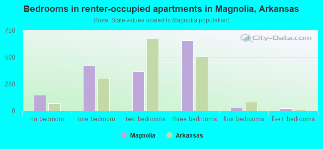 Bedrooms in renter-occupied apartments in Magnolia, Arkansas