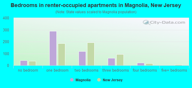 Bedrooms in renter-occupied apartments in Magnolia, New Jersey