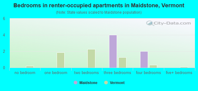 Bedrooms in renter-occupied apartments in Maidstone, Vermont