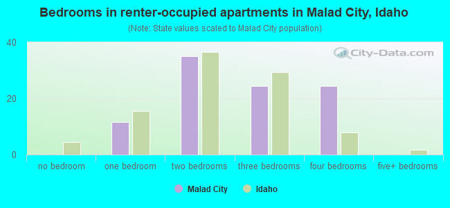 Bedrooms in renter-occupied apartments in Malad City, Idaho
