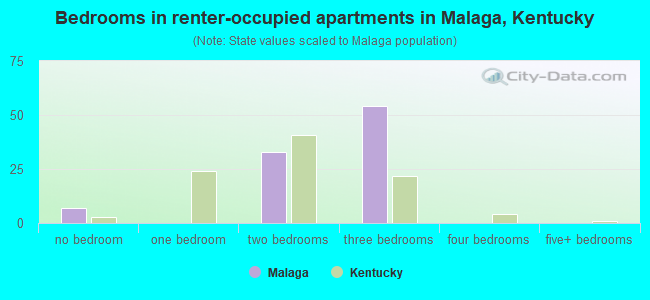 Bedrooms in renter-occupied apartments in Malaga, Kentucky