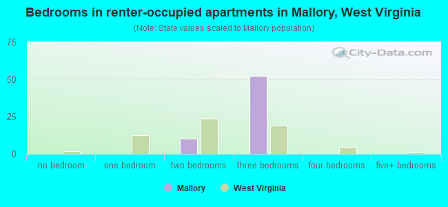 Bedrooms in renter-occupied apartments in Mallory, West Virginia