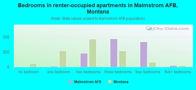 Bedrooms in renter-occupied apartments in Malmstrom AFB, Montana