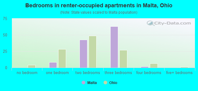 Bedrooms in renter-occupied apartments in Malta, Ohio