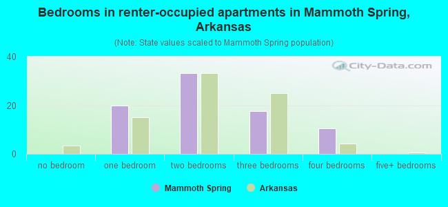 Bedrooms in renter-occupied apartments in Mammoth Spring, Arkansas