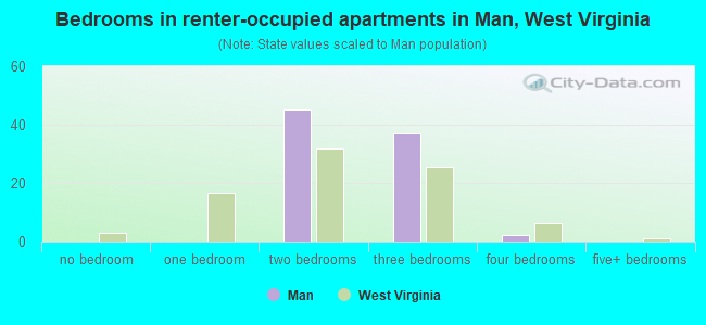 Bedrooms in renter-occupied apartments in Man, West Virginia