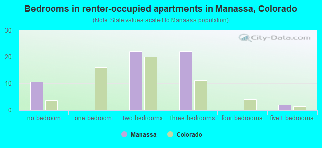 Bedrooms in renter-occupied apartments in Manassa, Colorado