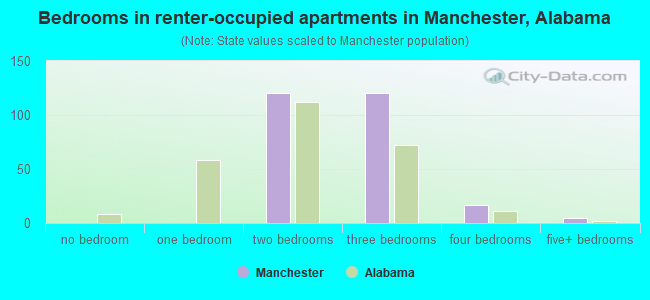 Bedrooms in renter-occupied apartments in Manchester, Alabama