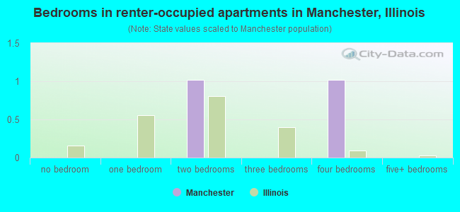 Bedrooms in renter-occupied apartments in Manchester, Illinois