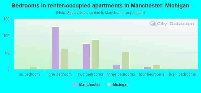 Bedrooms in renter-occupied apartments in Manchester, Michigan