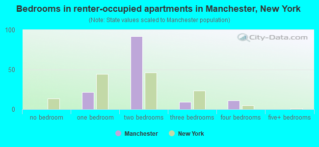Bedrooms in renter-occupied apartments in Manchester, New York