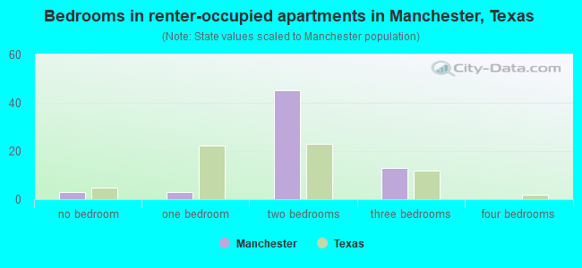 Bedrooms in renter-occupied apartments in Manchester, Texas