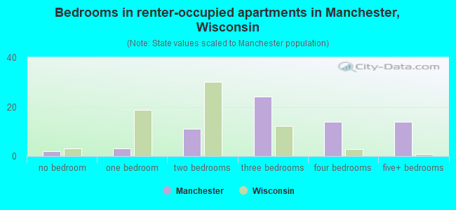 Bedrooms in renter-occupied apartments in Manchester, Wisconsin