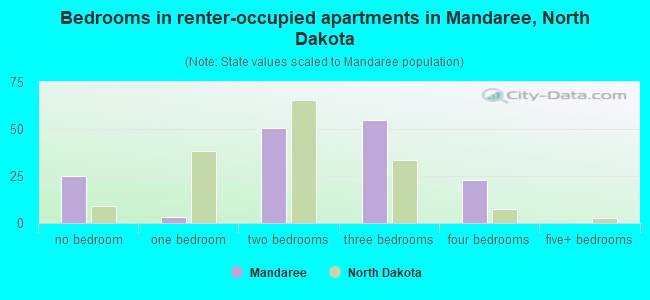 Bedrooms in renter-occupied apartments in Mandaree, North Dakota