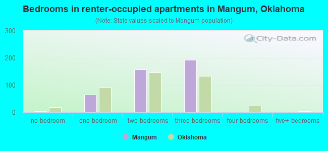 Bedrooms in renter-occupied apartments in Mangum, Oklahoma