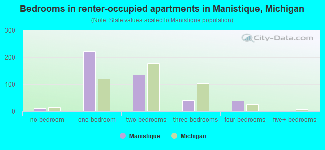 Bedrooms in renter-occupied apartments in Manistique, Michigan