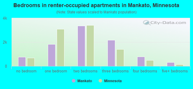 Bedrooms in renter-occupied apartments in Mankato, Minnesota