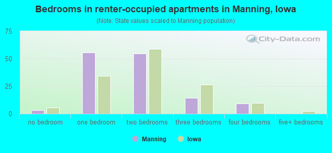 Bedrooms in renter-occupied apartments in Manning, Iowa
