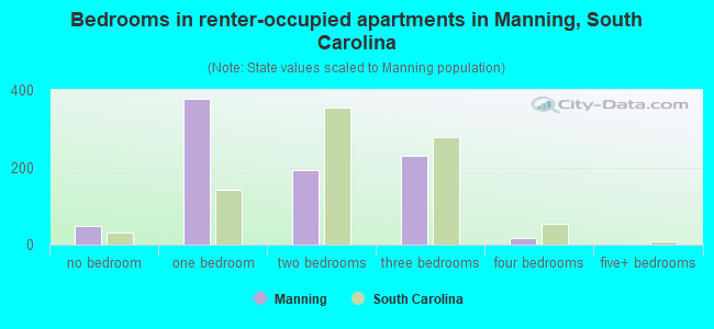 Bedrooms in renter-occupied apartments in Manning, South Carolina