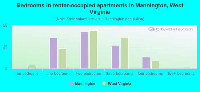 Bedrooms in renter-occupied apartments in Mannington, West Virginia