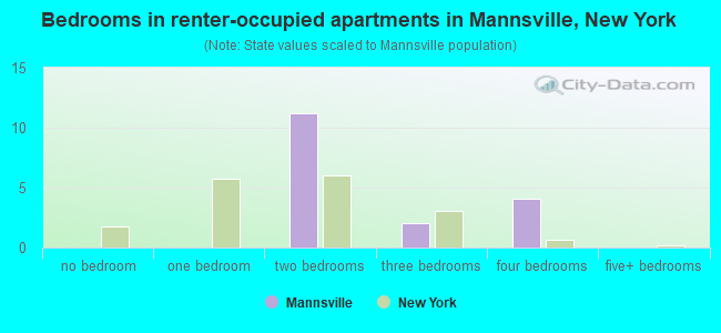 Bedrooms in renter-occupied apartments in Mannsville, New York