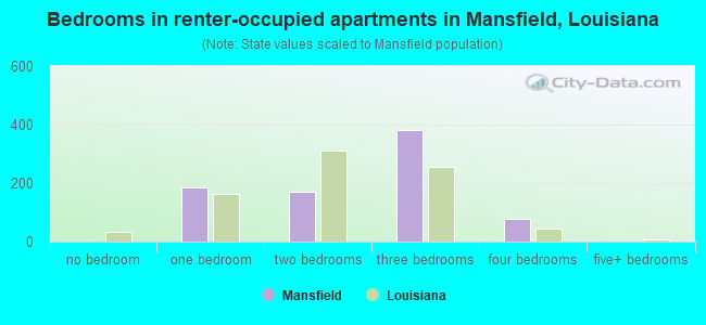 Bedrooms in renter-occupied apartments in Mansfield, Louisiana