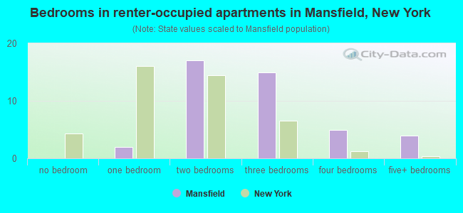 Bedrooms in renter-occupied apartments in Mansfield, New York