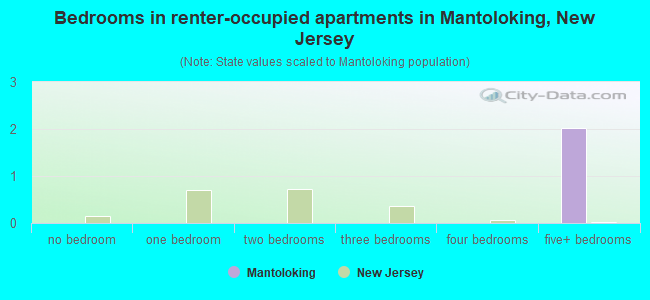 Bedrooms in renter-occupied apartments in Mantoloking, New Jersey