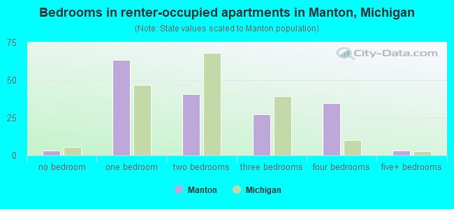 Bedrooms in renter-occupied apartments in Manton, Michigan