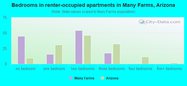 Bedrooms in renter-occupied apartments in Many Farms, Arizona