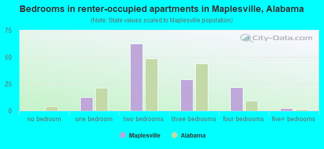 Bedrooms in renter-occupied apartments in Maplesville, Alabama