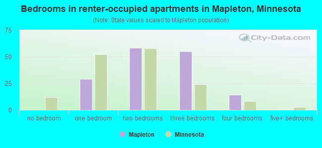 Bedrooms in renter-occupied apartments in Mapleton, Minnesota