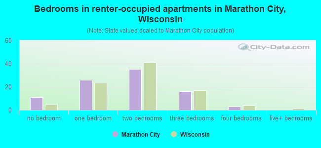 Bedrooms in renter-occupied apartments in Marathon City, Wisconsin