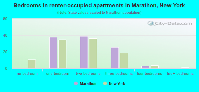 Bedrooms in renter-occupied apartments in Marathon, New York
